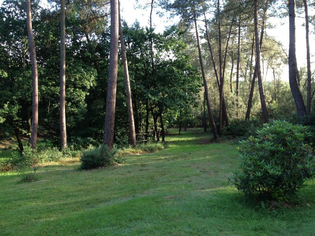Sérent L'Hippocampe B&B 외부 사진