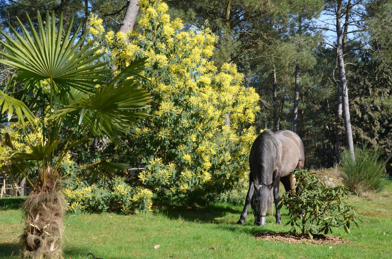 Sérent L'Hippocampe B&B 외부 사진